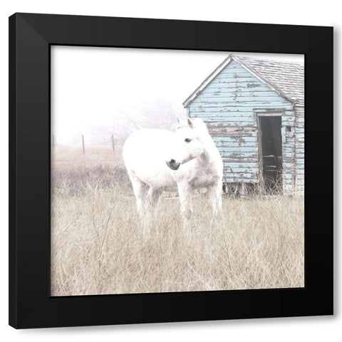 High Key Horse I Black Modern Wood Framed Art Print by Robinson, Carol