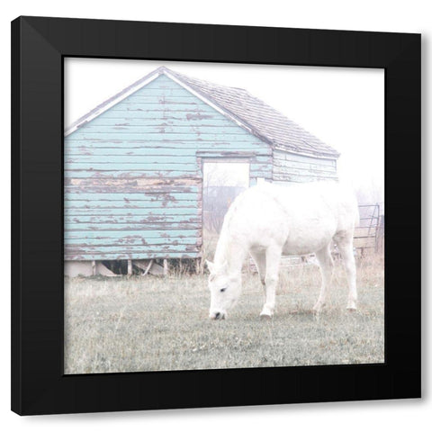 High Key Horse Black Modern Wood Framed Art Print by Robinson, Carol