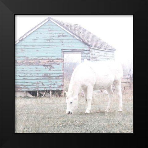 High Key Horse Black Modern Wood Framed Art Print by Robinson, Carol