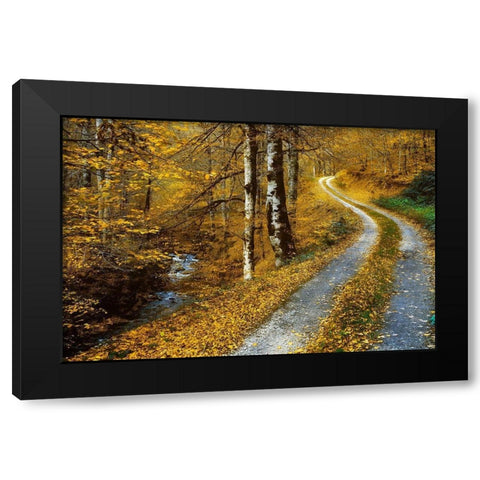 Winding Road Black Modern Wood Framed Art Print by Van de Goor, Lars