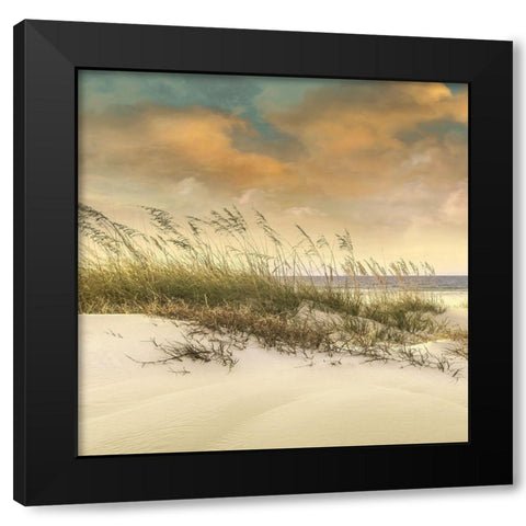 West Breeze Black Modern Wood Framed Art Print by Calascibetta, Mike