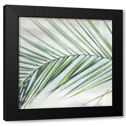 Palm View I Black Modern Wood Framed Art Print with Double Matting by Weisz, Irene