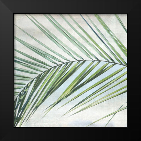 Palm View I Black Modern Wood Framed Art Print by Weisz, Irene