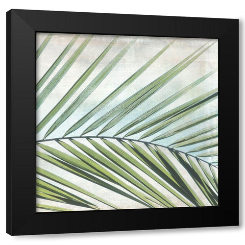 Palm View II Black Modern Wood Framed Art Print by Weisz, Irene