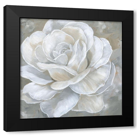 Bombshell Bloom II Black Modern Wood Framed Art Print with Double Matting by Nan