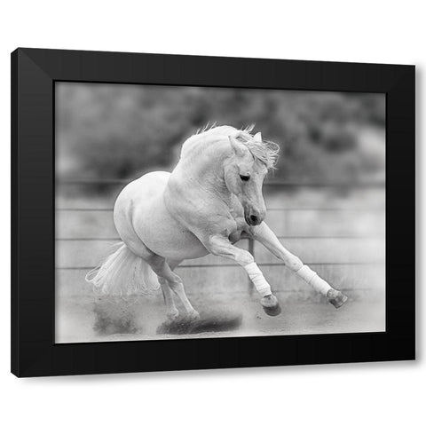 All For Show Black Modern Wood Framed Art Print with Double Matting by Klopfer, Lee