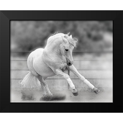 All For Show Black Modern Wood Framed Art Print by Klopfer, Lee