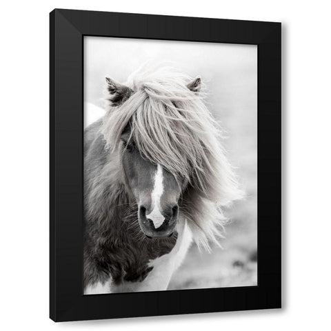 Shetland Summer Black Modern Wood Framed Art Print by Zwick, Martin