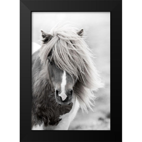 Shetland Summer Black Modern Wood Framed Art Print by Zwick, Martin