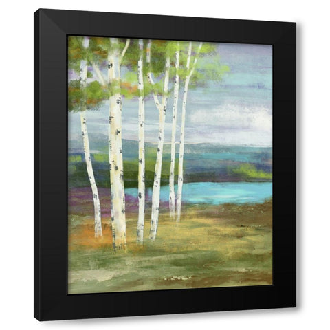 High Country Black Modern Wood Framed Art Print with Double Matting by Nan