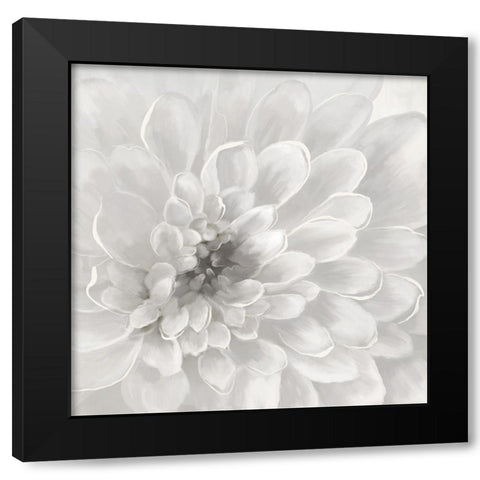 Dahlia Black Modern Wood Framed Art Print with Double Matting by Nan