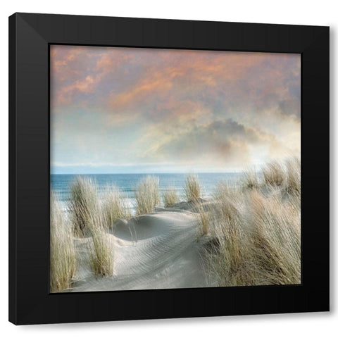Windswept I Black Modern Wood Framed Art Print with Double Matting by Calascibetta, Mike