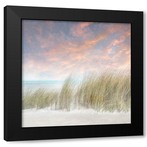 Windswept II Black Modern Wood Framed Art Print by Calascibetta, Mike