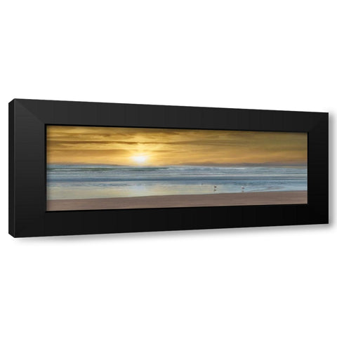 Wading Black Modern Wood Framed Art Print by Calascibetta, Mike