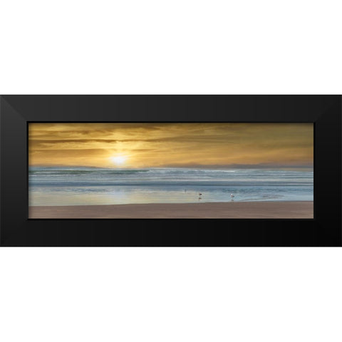 Wading Black Modern Wood Framed Art Print by Calascibetta, Mike