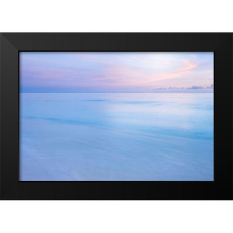 Midway Atoll Black Modern Wood Framed Art Print by Delimont, Danita