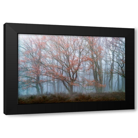 Misty Contrasts Black Modern Wood Framed Art Print with Double Matting by Van de Goor, Lars