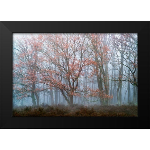Misty Contrasts Black Modern Wood Framed Art Print by Van de Goor, Lars