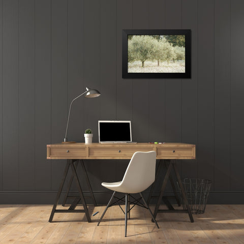 Paintograph Olive Trees Black Modern Wood Framed Art Print by Van de Goor, Lars