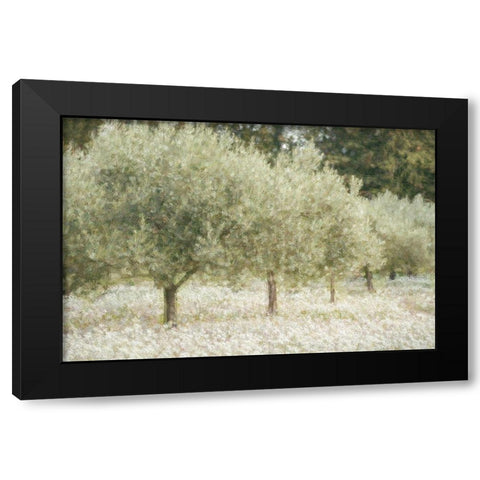 Paintograph Olive Trees Black Modern Wood Framed Art Print with Double Matting by Van de Goor, Lars