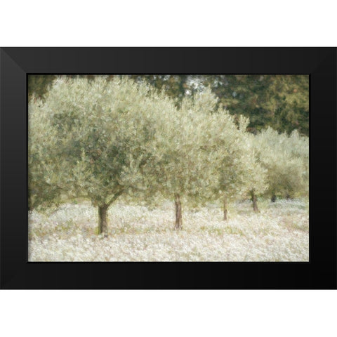Paintograph Olive Trees Black Modern Wood Framed Art Print by Van de Goor, Lars