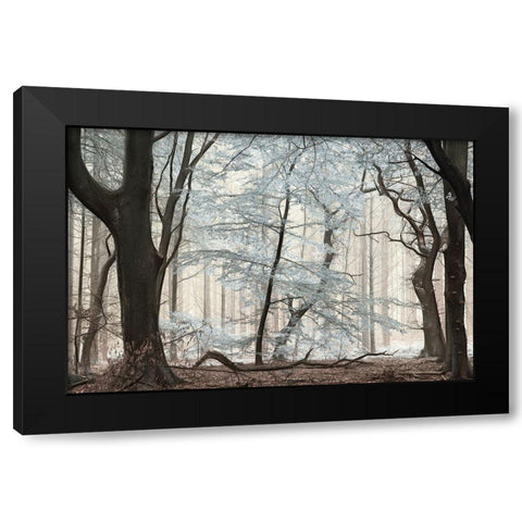 Silverwood Black Modern Wood Framed Art Print by Van de Goor, Lars