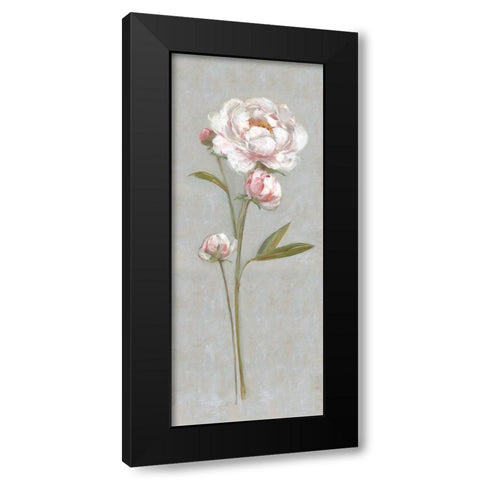 Peony Magic I Black Modern Wood Framed Art Print with Double Matting by Swatland, Sally