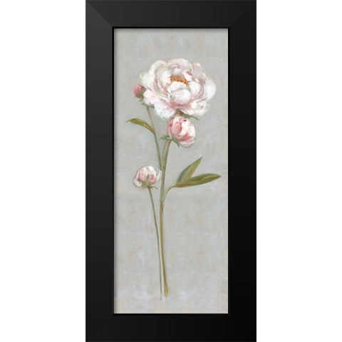 Peony Magic I Black Modern Wood Framed Art Print by Swatland, Sally