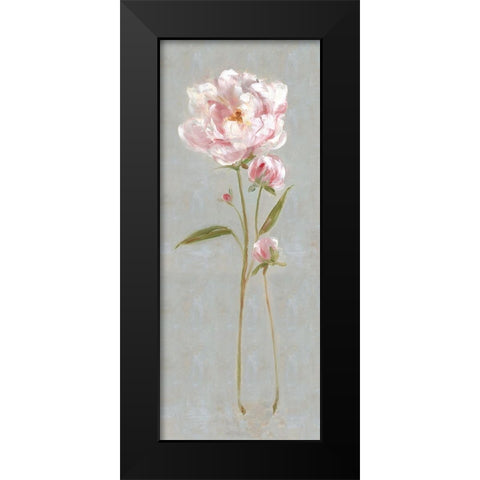 Peony Magic II Black Modern Wood Framed Art Print by Swatland, Sally