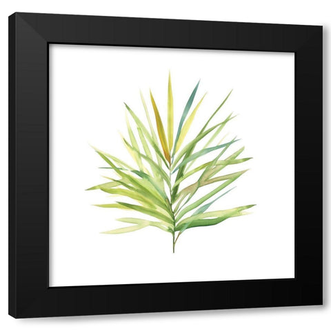 Tropical Botanical I Black Modern Wood Framed Art Print with Double Matting by Robinson, Carol