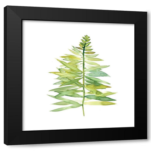 Tropical Botanical II Black Modern Wood Framed Art Print with Double Matting by Robinson, Carol