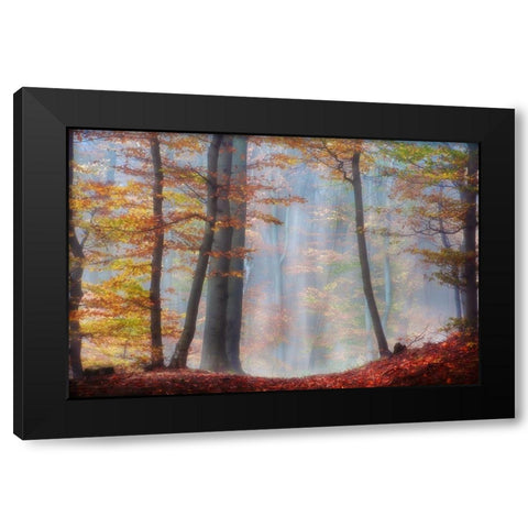 Always Magic Black Modern Wood Framed Art Print with Double Matting by Weisz, Irene