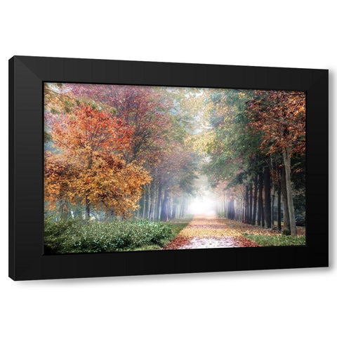Breath Black Modern Wood Framed Art Print with Double Matting by Weisz, Irene