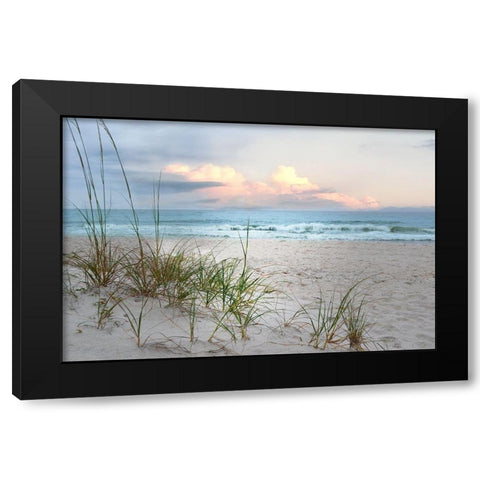 Beach Driftwood Black Modern Wood Framed Art Print by Nan