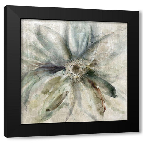 Floral Drama Black Modern Wood Framed Art Print by Robinson, Carol