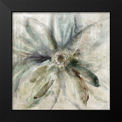 Floral Drama Black Modern Wood Framed Art Print by Robinson, Carol