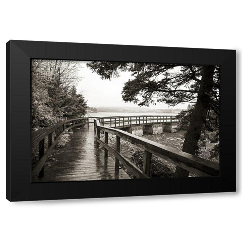 Nova Scotia Black Modern Wood Framed Art Print by Wilt, Kymri
