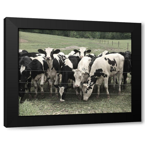 Mooove Over Black Modern Wood Framed Art Print with Double Matting by Nan