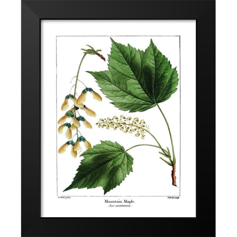 Mountain Maple Black Modern Wood Framed Art Print by Donovan, Kelly
