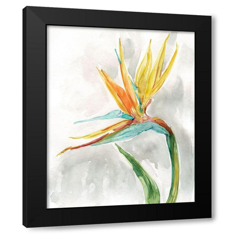 Bird of Paradise II Black Modern Wood Framed Art Print with Double Matting by Robinson, Carol