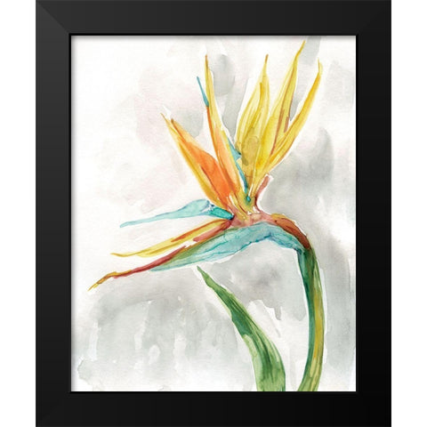 Bird of Paradise II Black Modern Wood Framed Art Print by Robinson, Carol