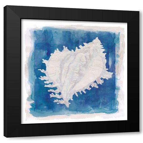 Coastal Washes Shell I Black Modern Wood Framed Art Print with Double Matting by Robinson, Carol