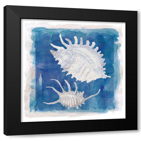 Coastal Washes Shell II Black Modern Wood Framed Art Print by Robinson, Carol
