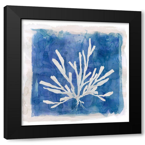 Coastal Washes Shell III Black Modern Wood Framed Art Print with Double Matting by Robinson, Carol