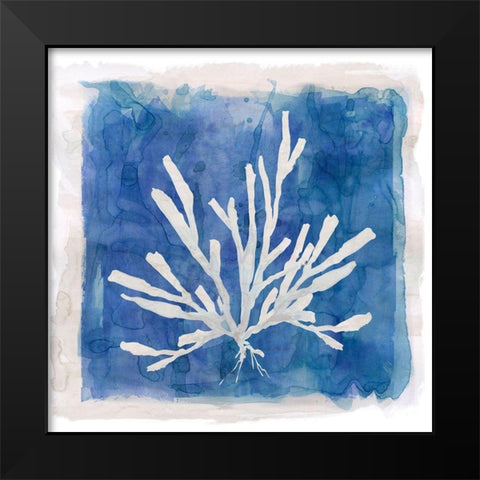 Coastal Washes Shell III Black Modern Wood Framed Art Print by Robinson, Carol