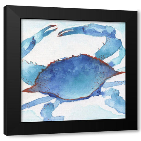 Galapagos Crab Black Modern Wood Framed Art Print with Double Matting by Tava Studios