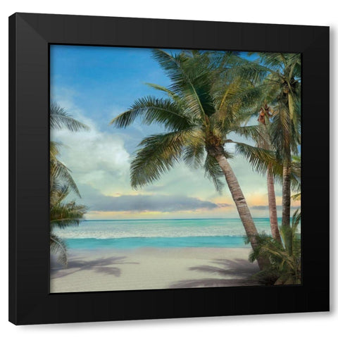 A Found Paradise II Black Modern Wood Framed Art Print by Calascibetta, Mike