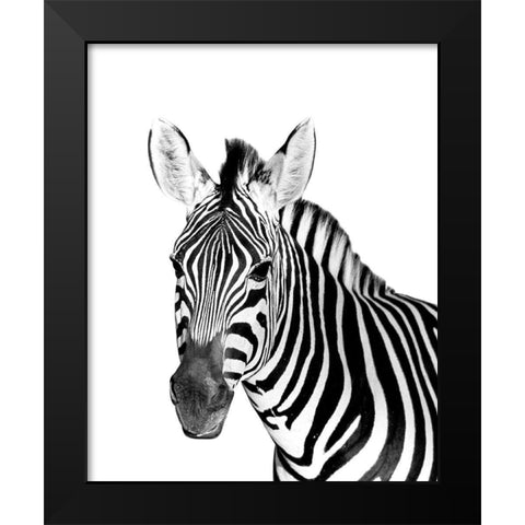 Safari Zebra Black Modern Wood Framed Art Print by Westmoreland, Robin