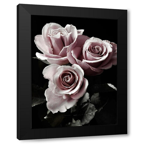Rose Noir I Black Modern Wood Framed Art Print with Double Matting by Miller, Anna