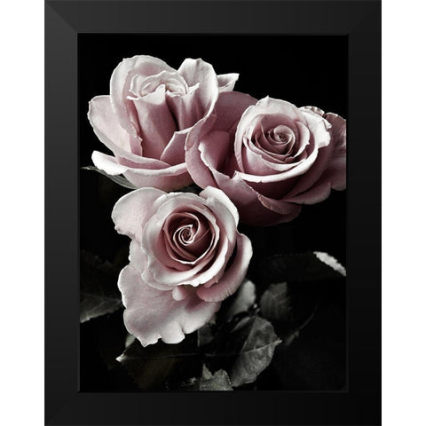 Rose Noir I Black Modern Wood Framed Art Print by Miller, Anna